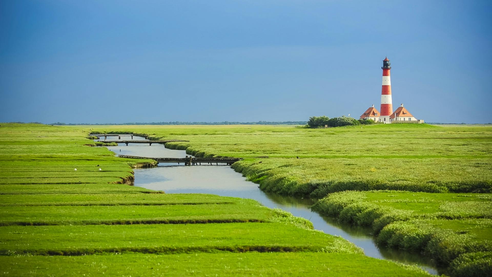 Leuchtturm mit Wiese